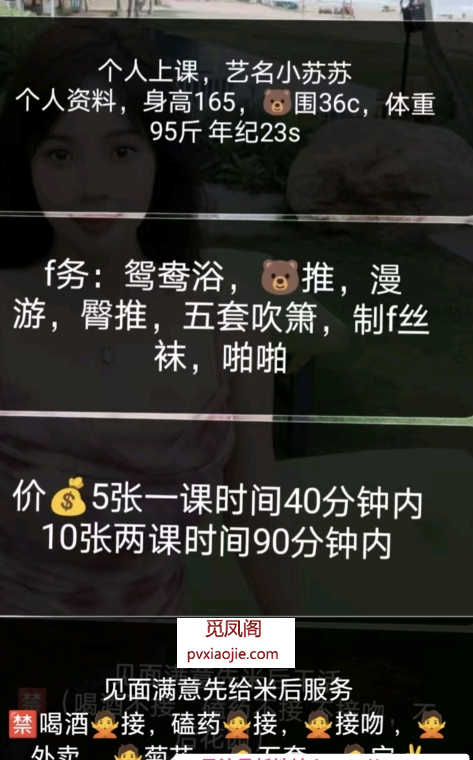 江宁小苏苏